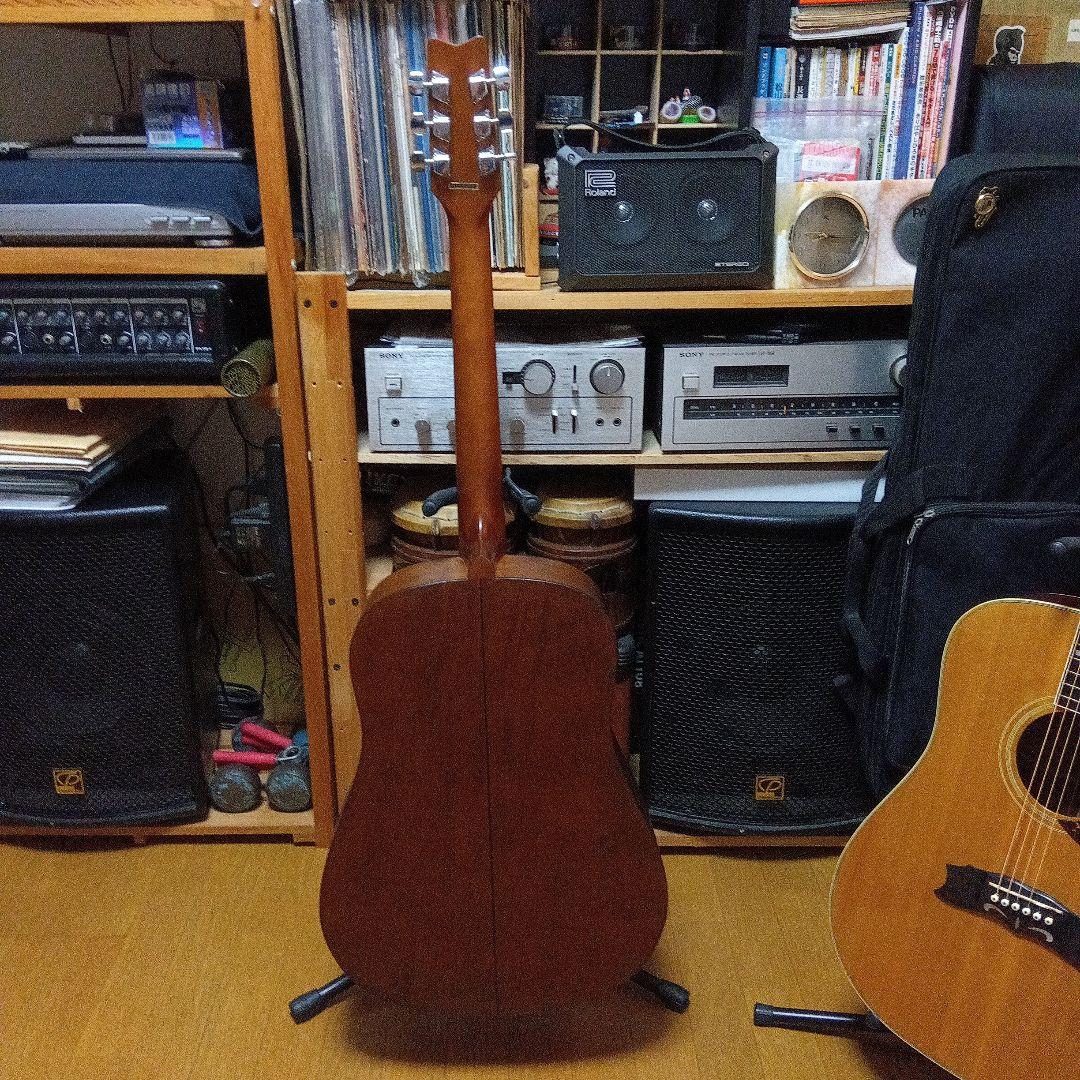 WASHBURN アコースティックギター ドレッドノート