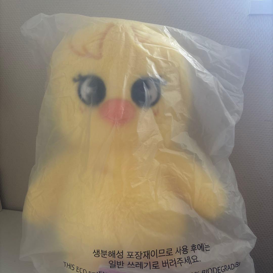 スキズ　ポガリ　テディベア