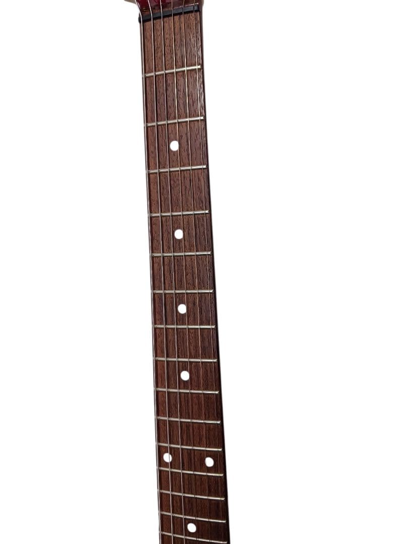 FERNANDES ZO-III GOLDパーツ　ZO-3 ゾーさん　ケース付き