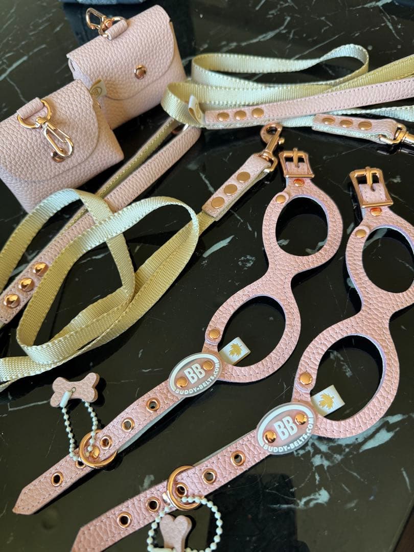 バディベルト　bb ハーネス・リード6点セット