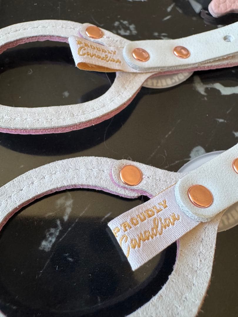 バディベルト　bb ハーネス・リード6点セット