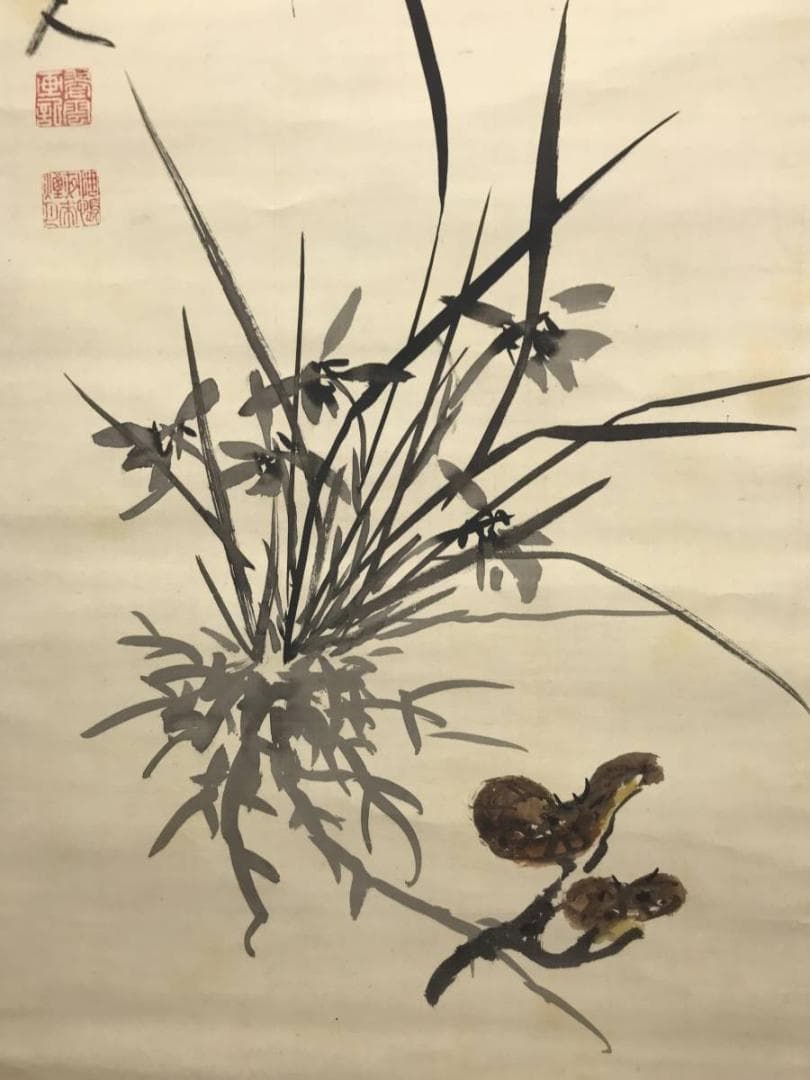 【真作】小室翠雲/蘭根霊芝画賛/蘭図/ラン図/レイシ図/掛軸/名家伝来/AC-4