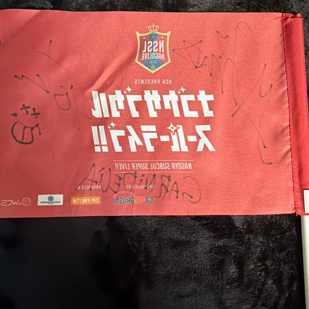 【激レア】GARNiDELiA サイン　旗　ナゴヤサブカルスーパーライブ