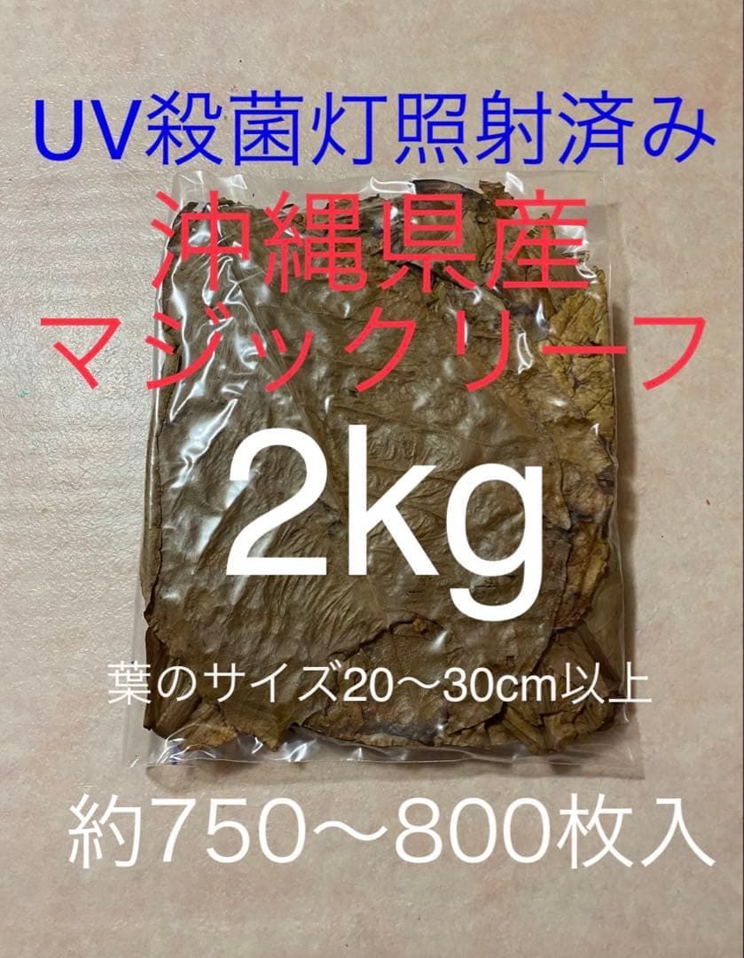 沖縄県やんばる産マジックリーフ 2kg UV殺菌灯照射済み①