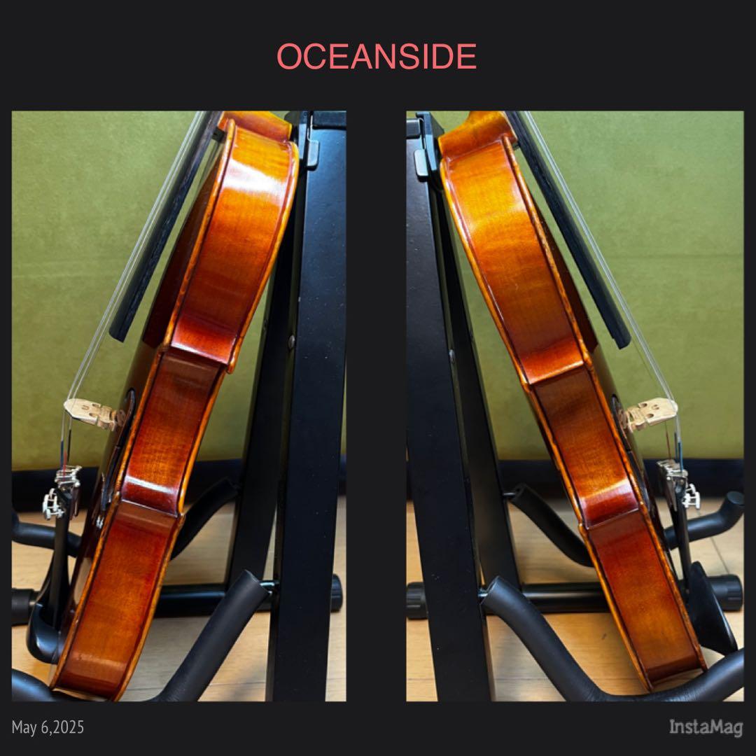 【新品弦交換済⭐️】SUZUKIバイオリン 4/4 特No.1 特1