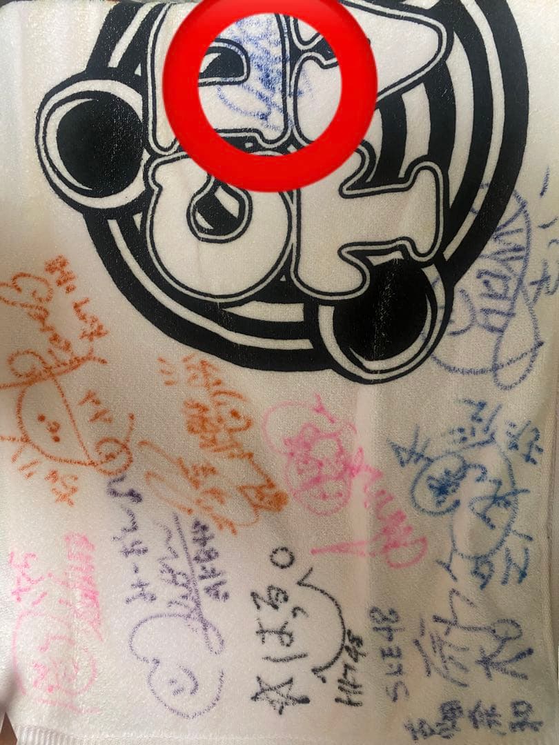 48グループ　直筆サインタオル