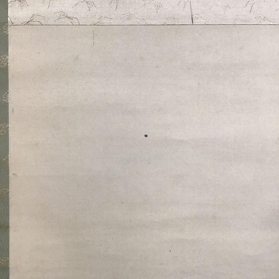 K茶道具　掛軸　杜若(かきつばた)　小寺雲洞作(明治ー昭和)共箱　S1014KJ