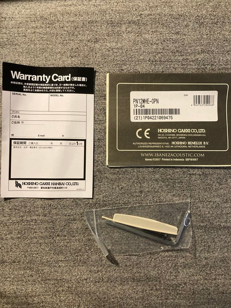 Ibanez AEQ2T アコースティックギター