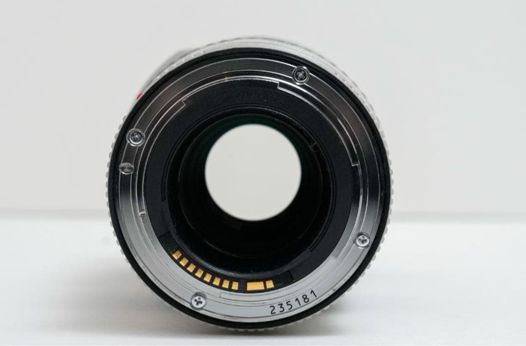 Canon 望遠ズームレンズ EF70-200mm F4L IS USM