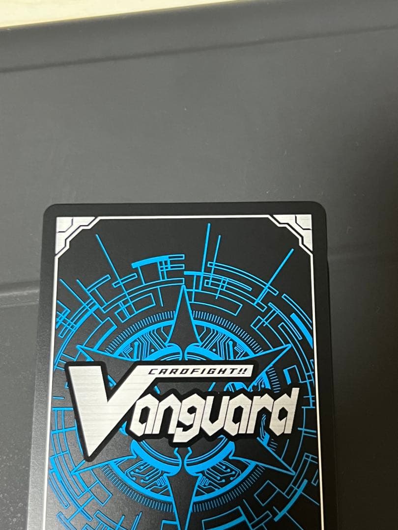 スノウスキップ パルヴィ TGR+