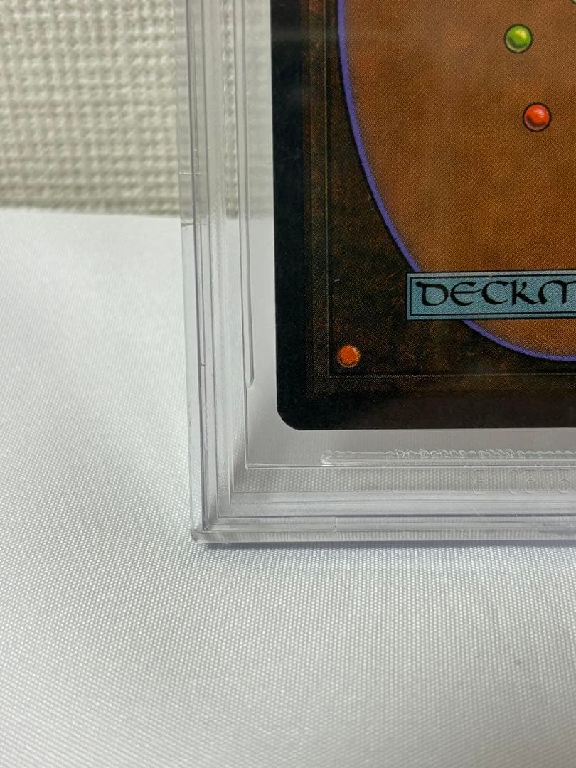 Tropical  BGS9.5 デュアルランド