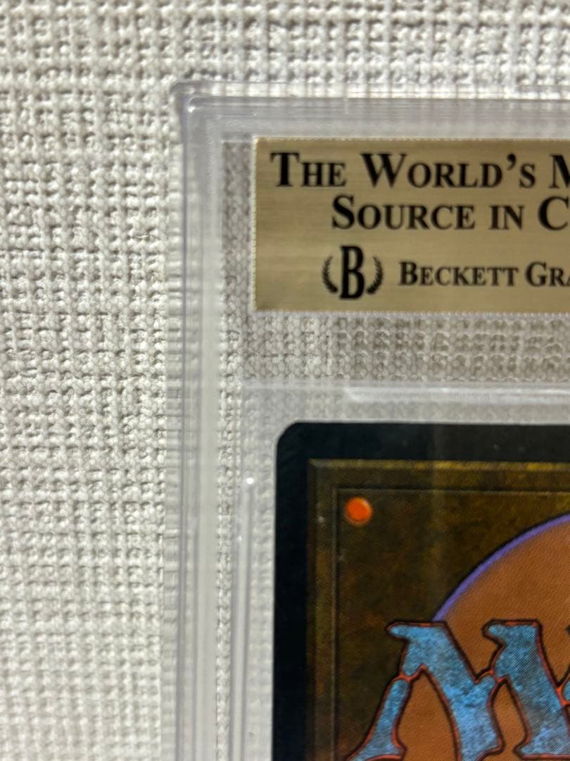 Tropical  BGS9.5 デュアルランド