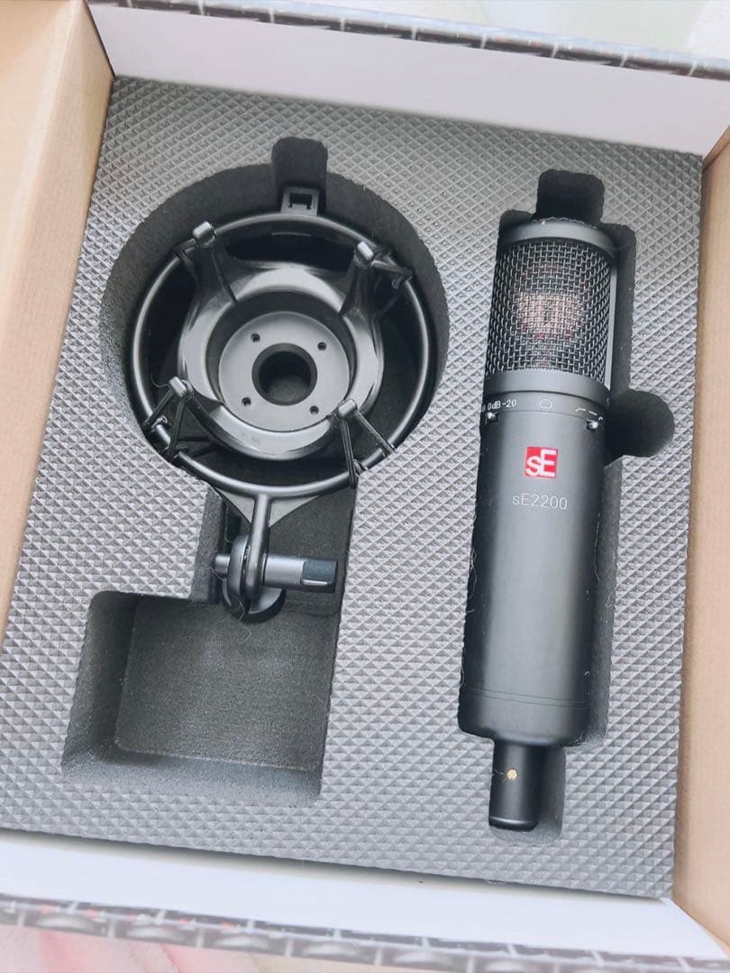 ビリー・アイリッシュ使用　SE2200 スタジオコンデンサーマイク