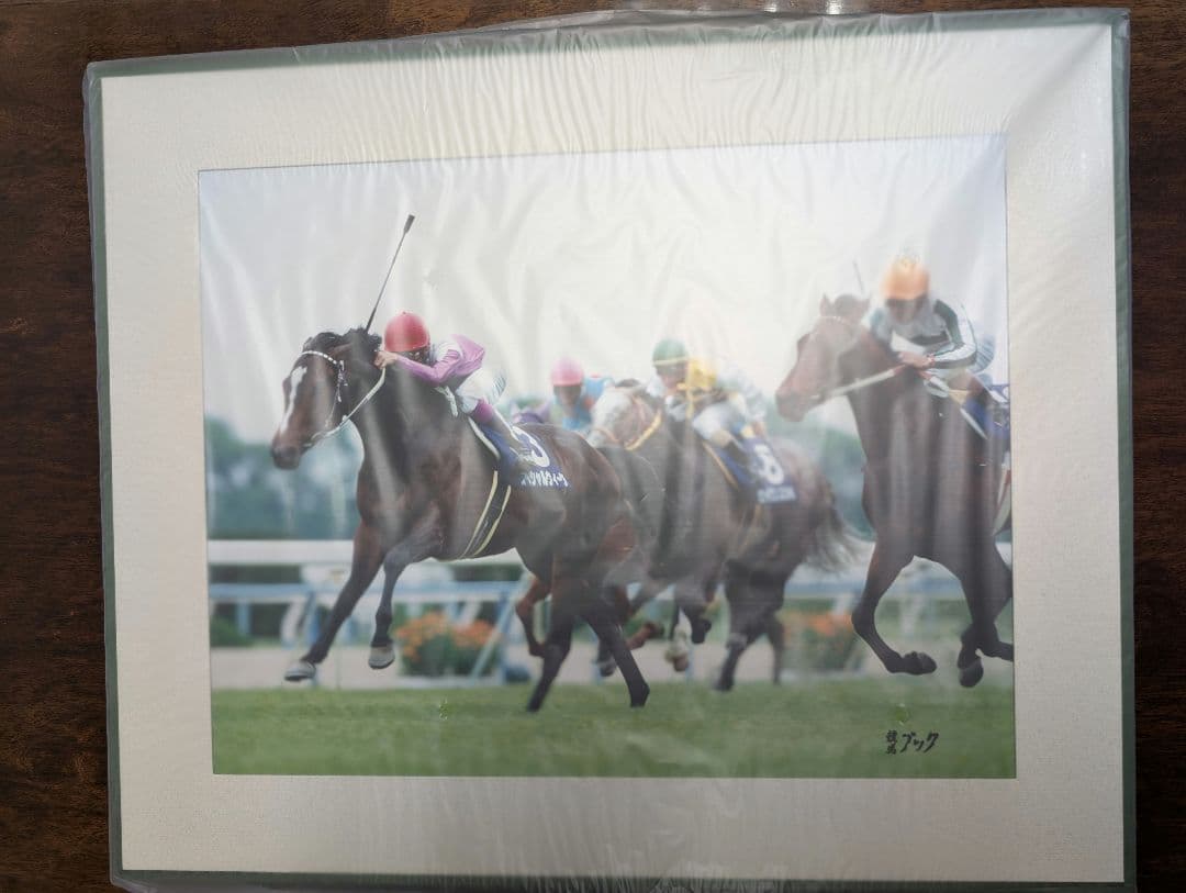 スペシャルウィーク　天皇賞春　競馬ブックパネル