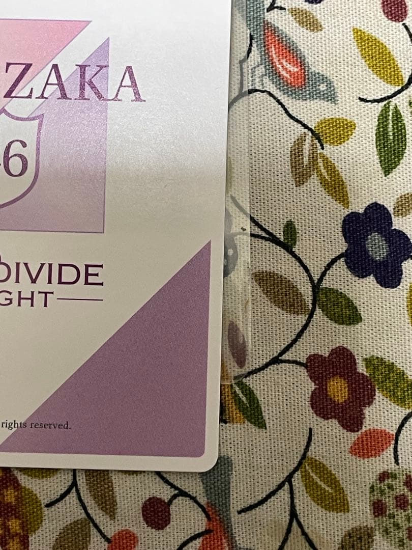 乃木坂46ビルディバイドブライト　遠藤さくらSC