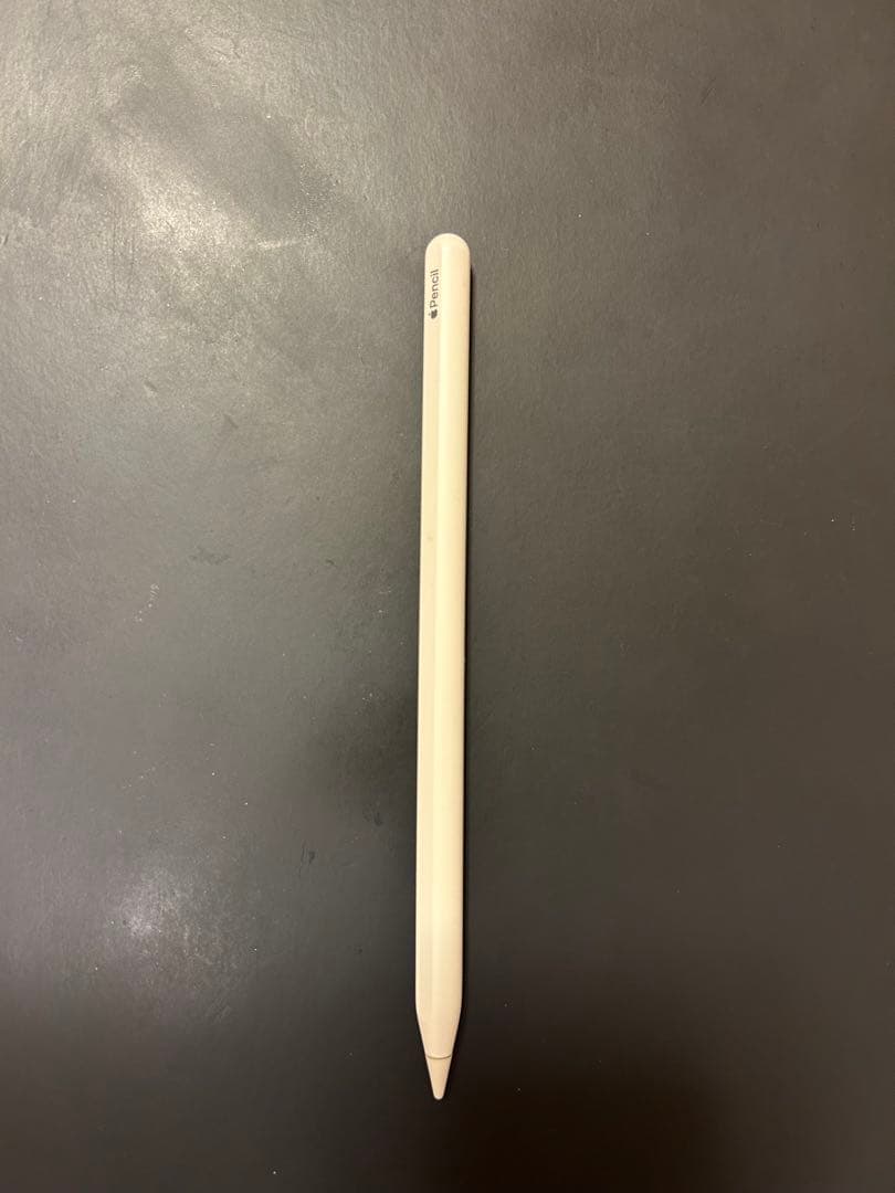 iPad pro 第3世代12.9 256G シルバー Wifiモデル　ペン付き