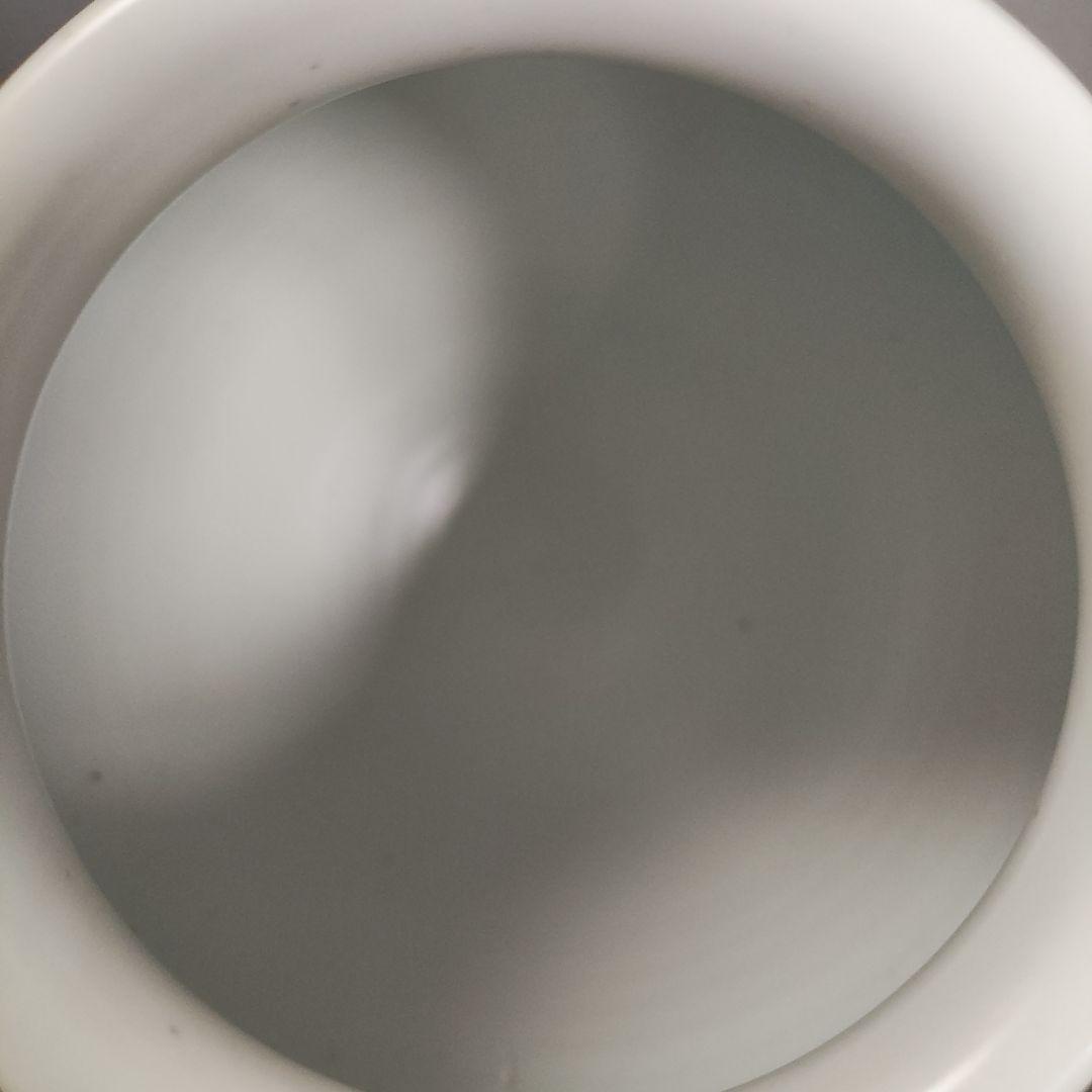 廣州窯　白磁壺　李朝　高麗　韓国　月壺