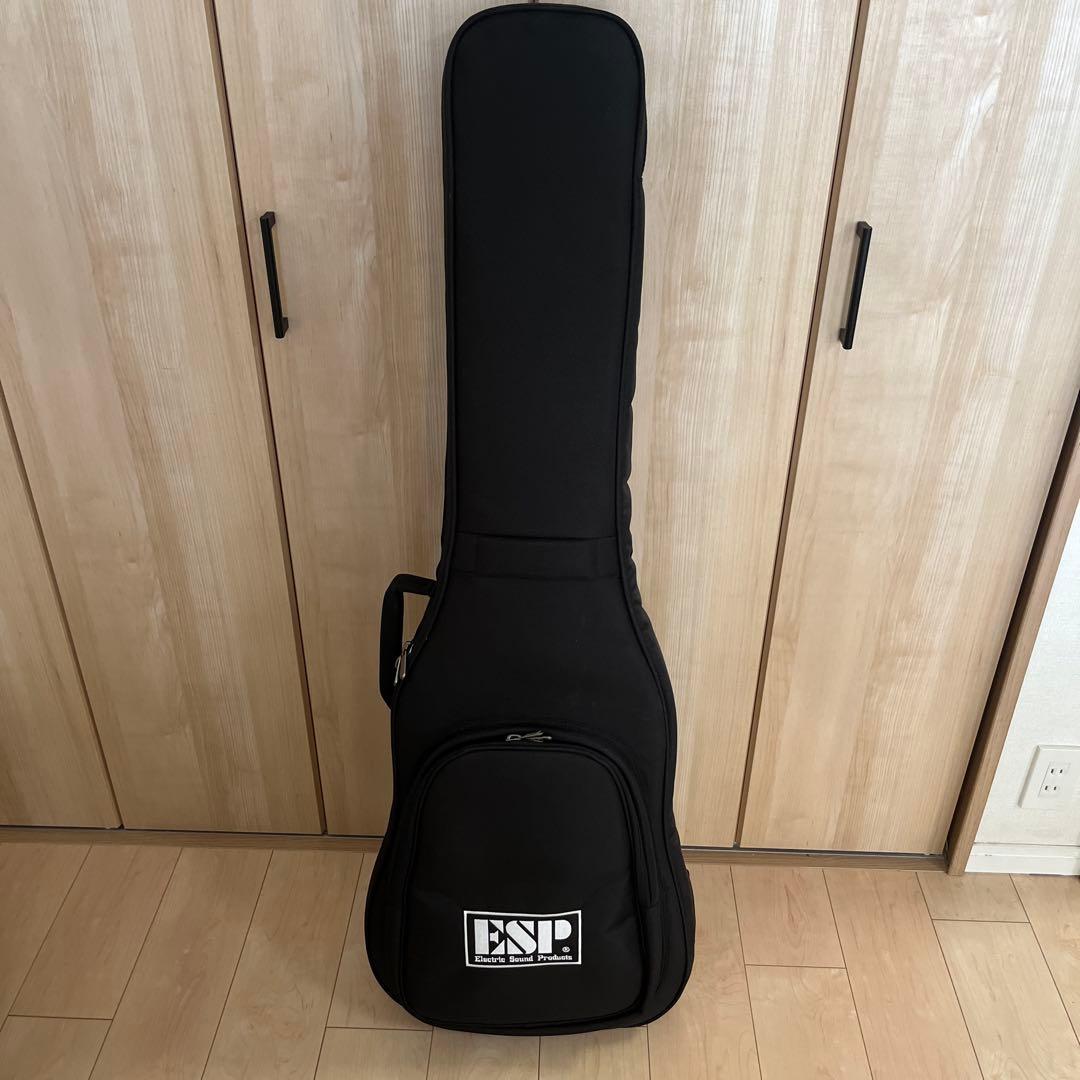 【美品】ESP AMAZE CTM + ピックガード2種