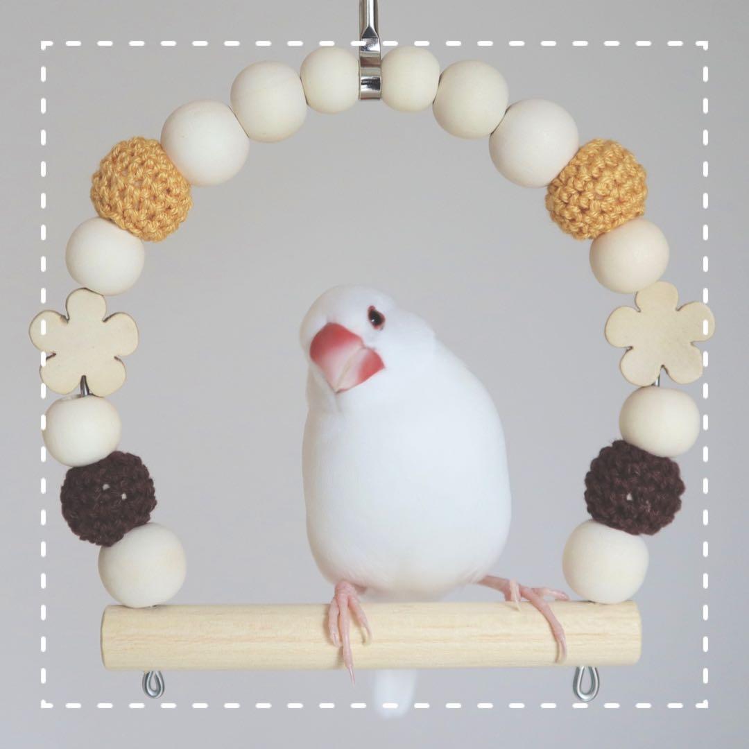 【みる】ことりのおおきなあそびば　オーダー