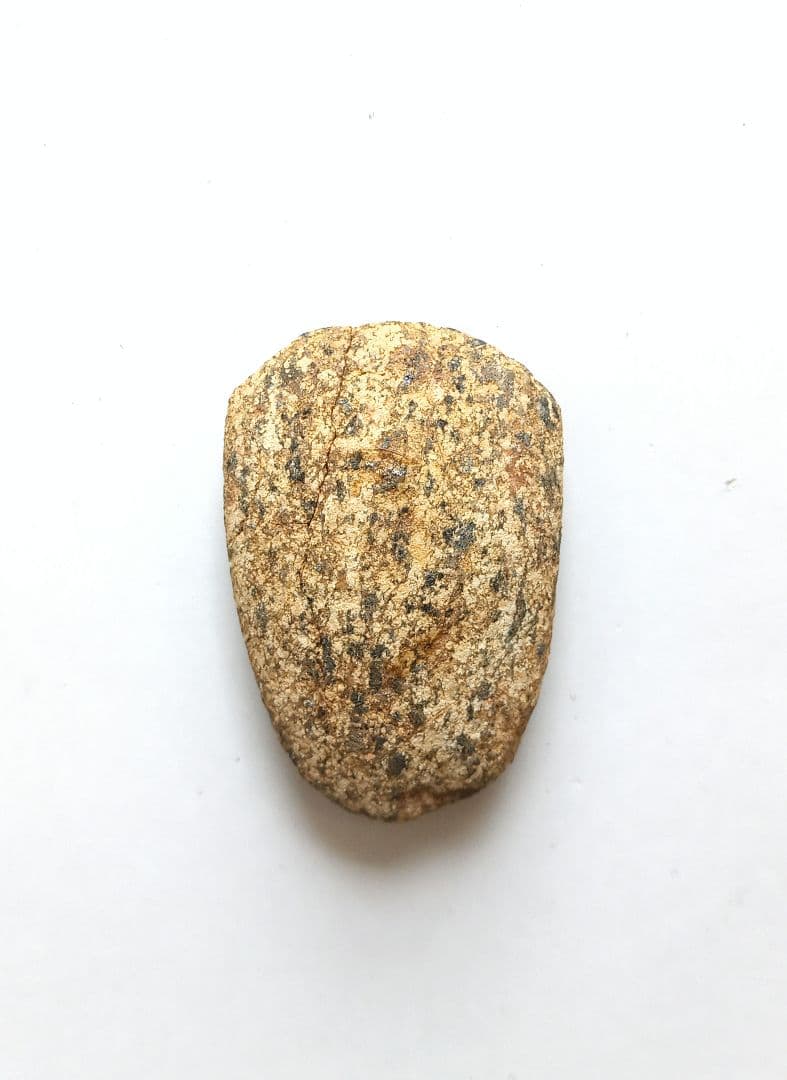 磨製石斧　完成出土品　堆積岩　磨き石