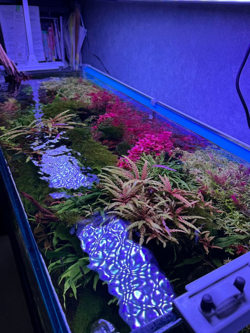 WEEK AQUA A430 TH RGB ブラック　Yamatoさん専用