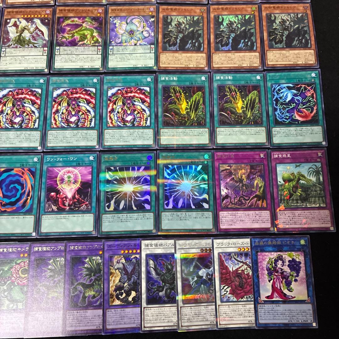 【即日発送】 遊戯王 «捕食植物(新規有)» 構築済みデッキ 85枚 日版