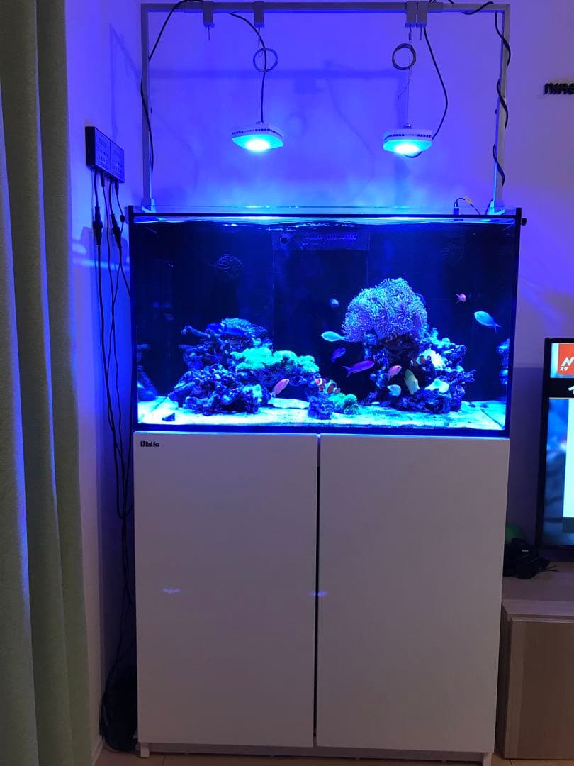 レッドシー、リーファ250、AIプライム、バブルラッシュ、クーラー、水槽台・