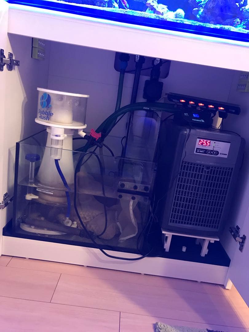 レッドシー、リーファ250、AIプライム、バブルラッシュ、クーラー、水槽台・