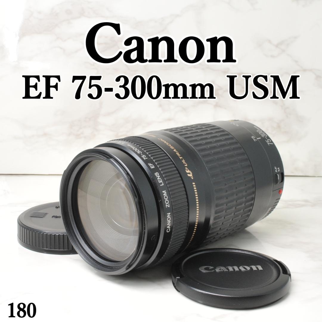 Canon EF 75-300mm F4-5.6 USM⭐️望遠レンズ キャノン