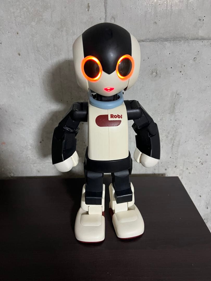 Robi ロビ　完成品　　2014年　動作確認済み