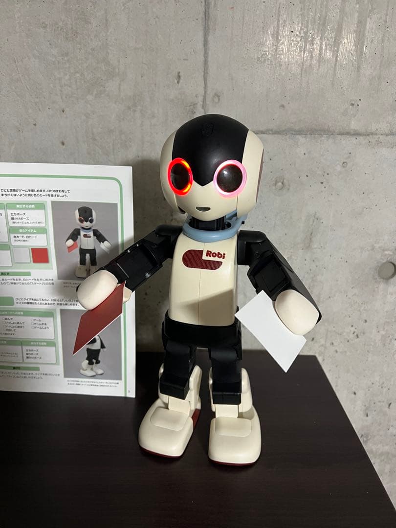 Robi ロビ　完成品　　2014年　動作確認済み