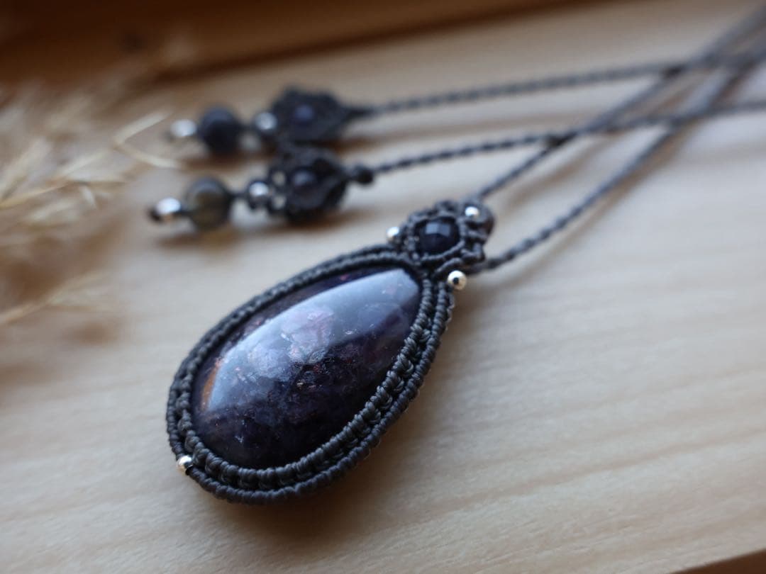 でんちゃん 11/8