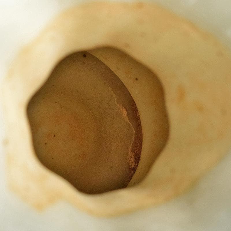 中国　宋代　青白磁　瓜型瓶　一對　M　R8819