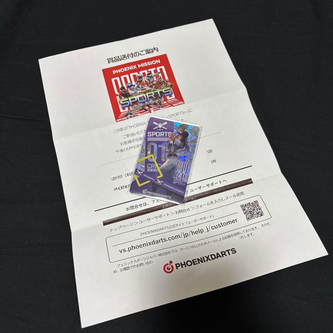PHOENIX DARTS 野球 PHOENicA 当選品　フェニカ 未使用