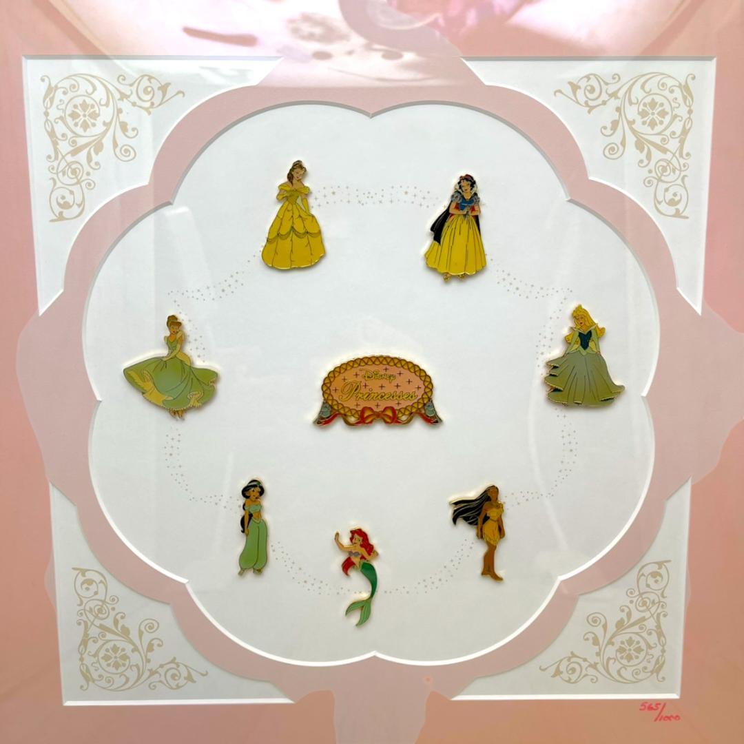 激レア★シンデレラ アリエル ベル 白雪姫 眠れる森の美女 ピンバッジ 額縁