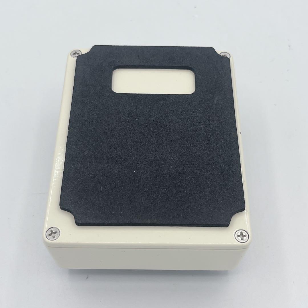 ギター CARL MARTIN PLEXIRANGER