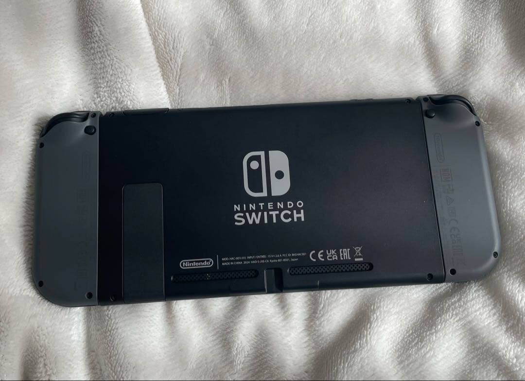 Nintendo Switch 本体 セット グレー スプラトゥーン ケース