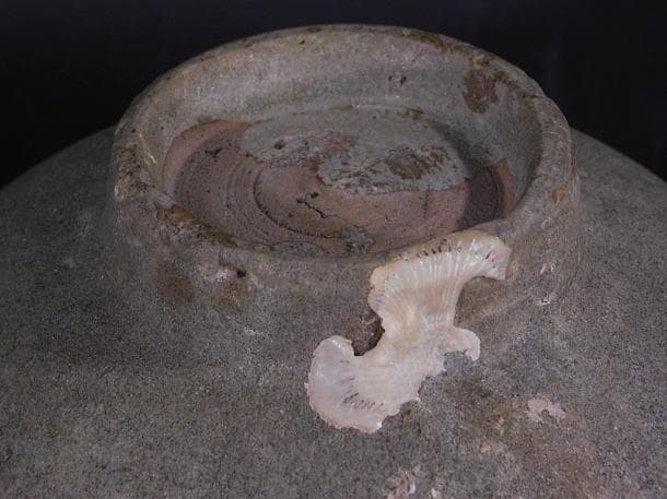 【茶道具　会寧　青磁茶碗（時代茶碗）／海上がり・李氏朝鮮】