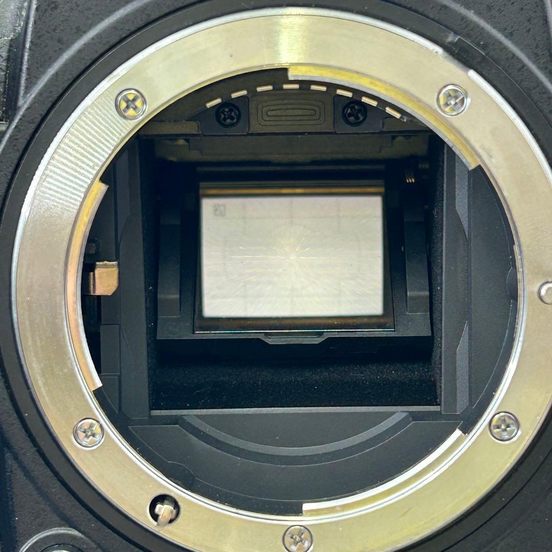 <<S数11337>> Nikon ニコン D7000 デジタル一眼レフカメラ