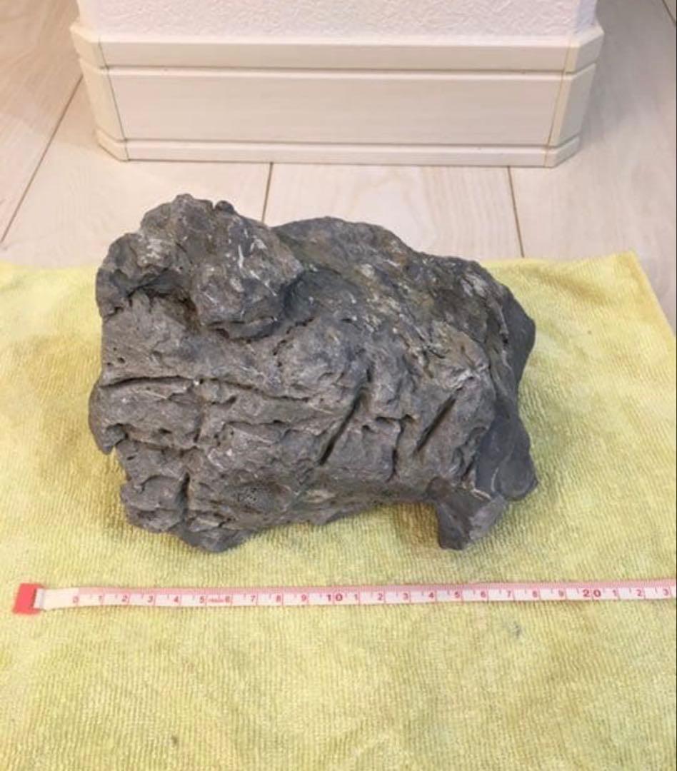 ADA 青龍石　龍王石　青華石　清流石　セット