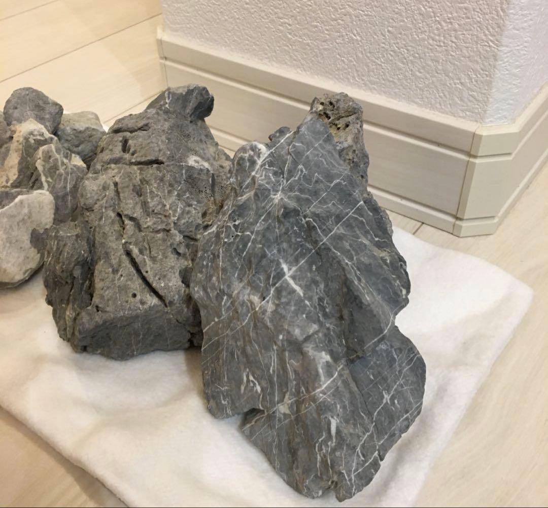 ADA 青龍石　龍王石　青華石　清流石　セット