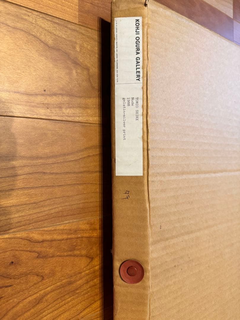 芸術写真 SEIKE TOMIO nude 1988