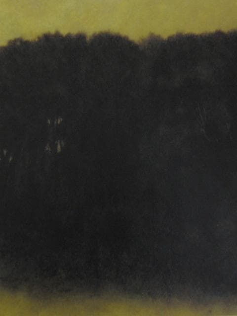 鈴木竹柏、【燦燦】、希少な額装用画集より、新品額装付