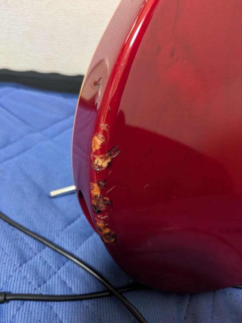 edwards snapper　E-SN-145FR