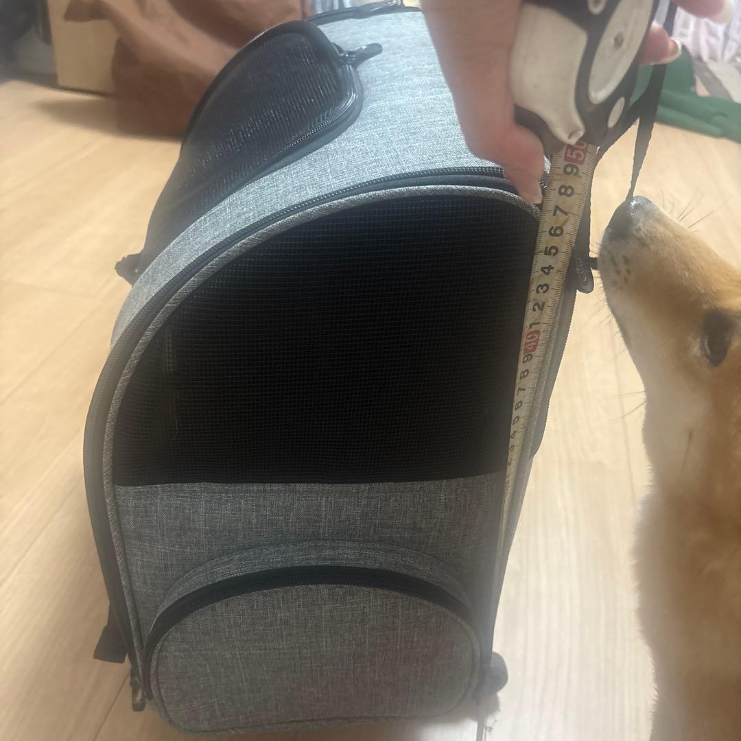 AIRBUGGY ペットキャリーバッグ グレー