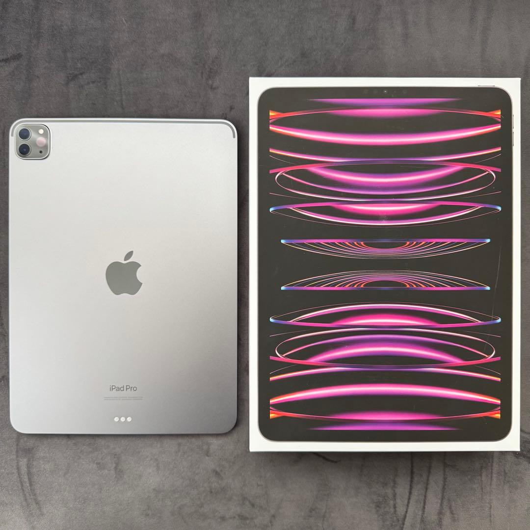 iPad Pro (11インチ) 第4世代 M1チップ　256GB シルバー