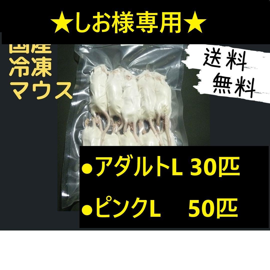 ★しお★国産 冷凍マウスアダルト L 30匹 ピンクL50匹