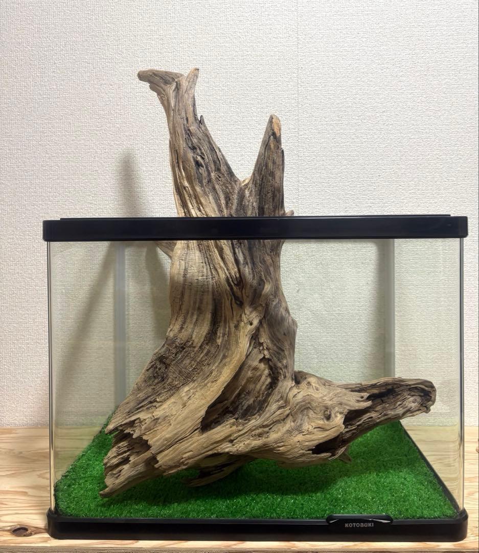 Ｇ87 流木　爬虫類　両生類　シェルター　観葉植物　インテリア　DIY