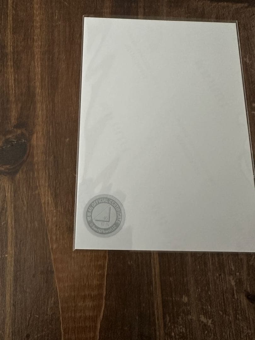 櫻坂46 遠藤理子 サンタ衣装 直筆サイン入り生写真