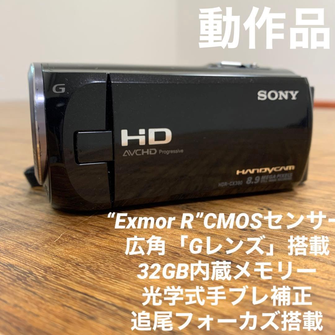 SONY ソニー　ビデオカメラ　HDR-CX390